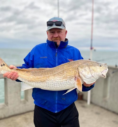 Mike Foy - 41” Red Drum, caught using 12 pound test.